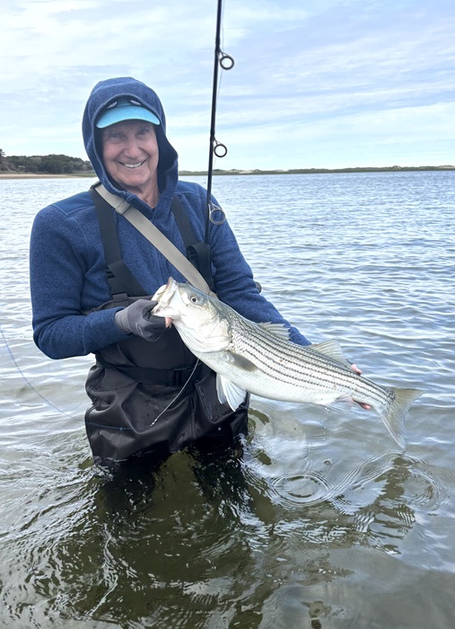 cheeky fly fishing cheeky fishing cydro 2500 spinning reel Fly Fishing Equipment & Products Online, Cheeky Reels
